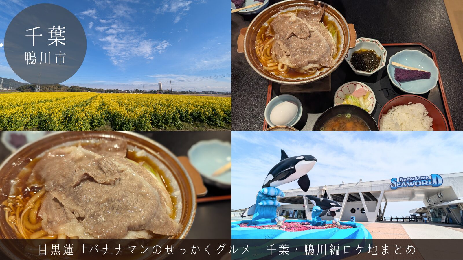 目黒蓮 せっかくグルメ 鴨川 千葉
