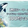 鴨川シーワールド シャチショー カッパ ポンチョ