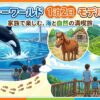 鴨川シーワールド 1泊2日 モデルコース