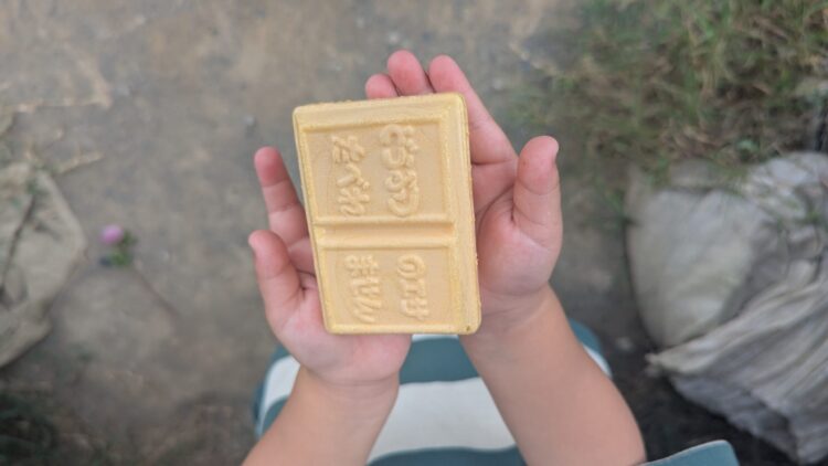 道の駅グリーンファーム館山 ヤギさん牧場 レビュー