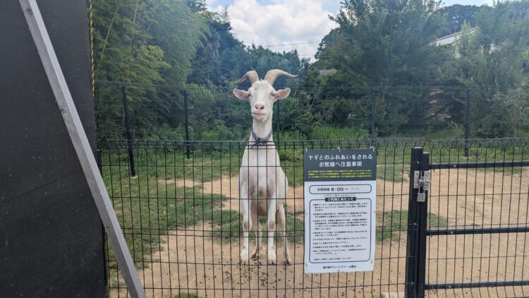 道の駅グリーンファーム館山 レビュー