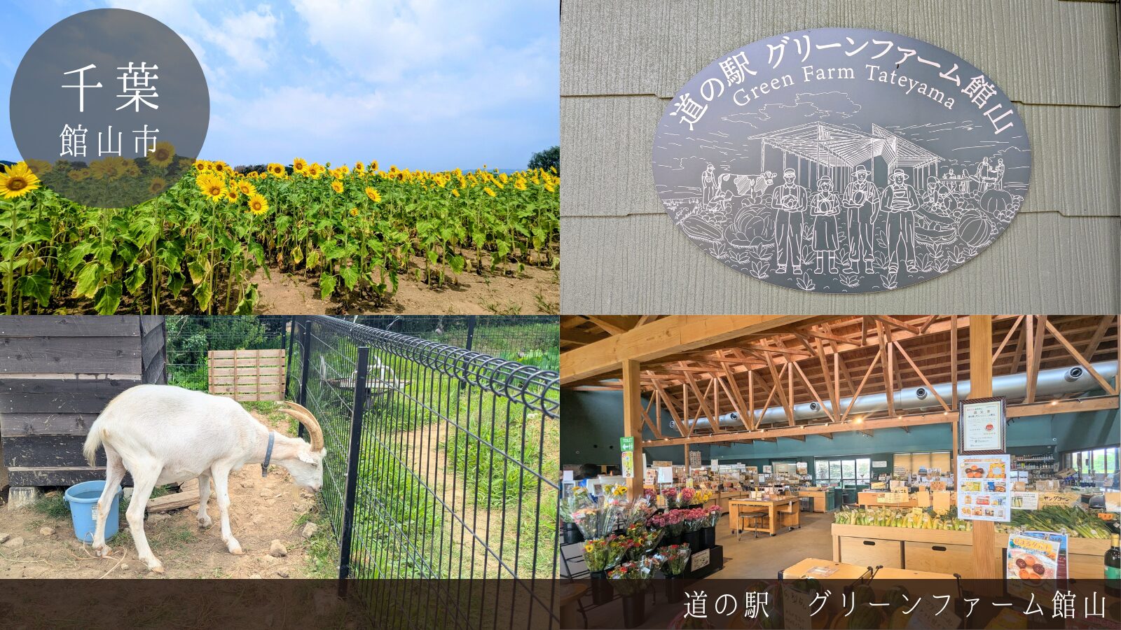 道の駅グリーンファーム館山 レビュー
