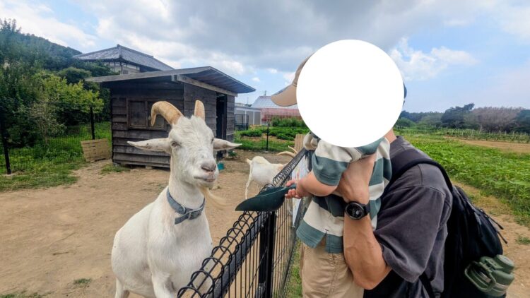 道の駅グリーンファーム館山 ヤギさん牧場 レビュー