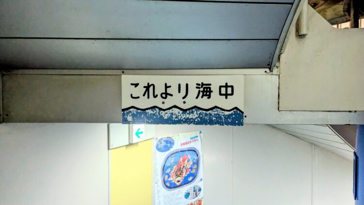 かつうら海中公園展望塔 レビュー チケット