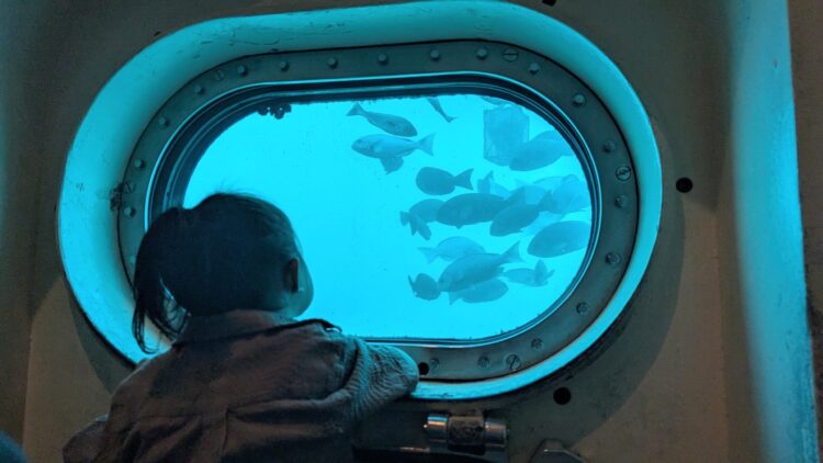 かつうら海中公園展望塔 レビュー チケット
