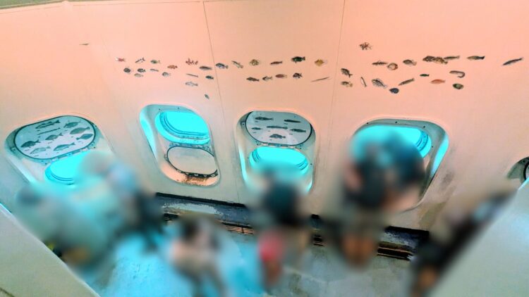かつうら海中公園展望塔 レビュー チケット