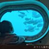 かつうら海中公園展望塔 レビュー チケット